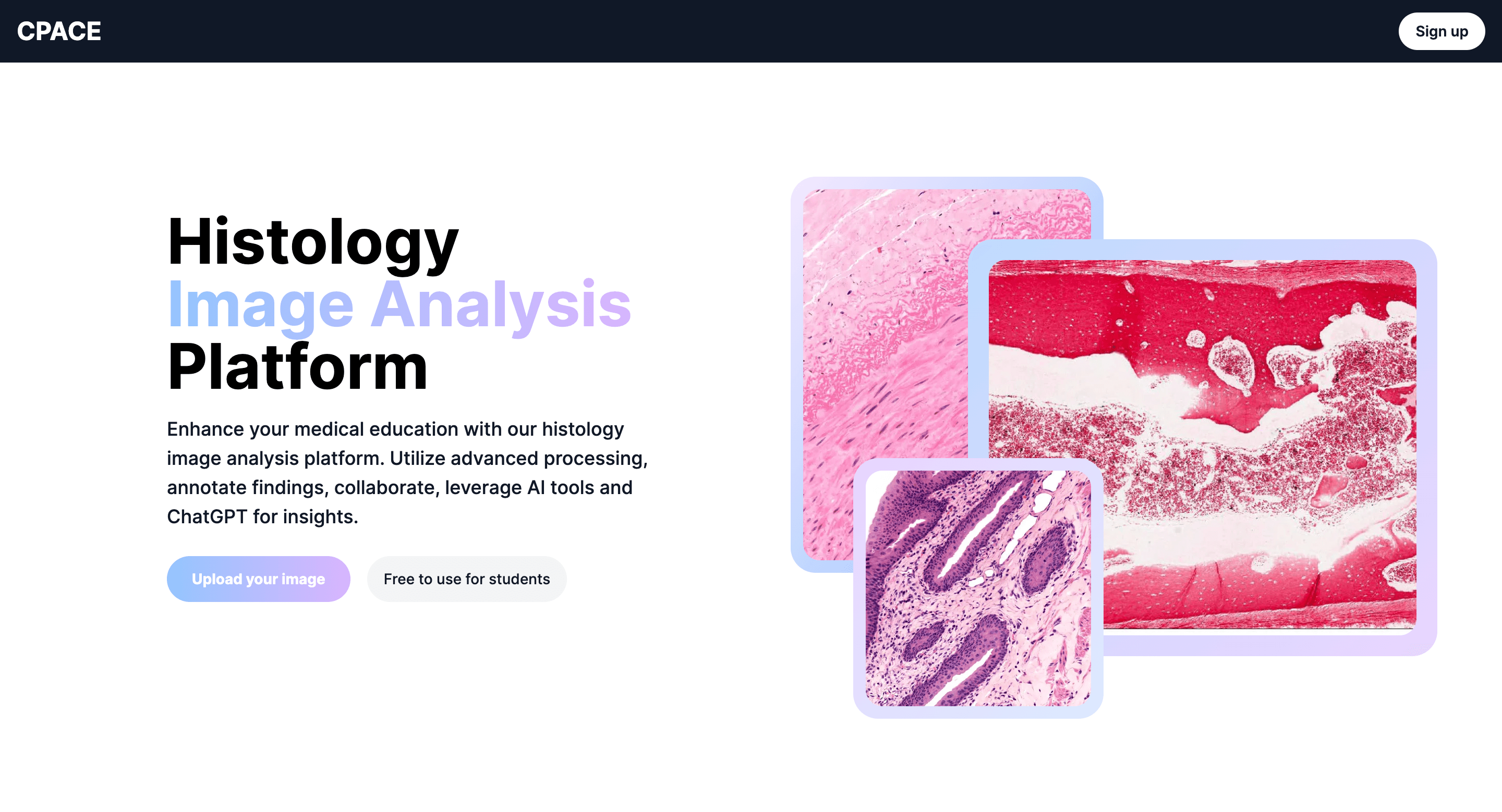 Histology Learning Platform preview